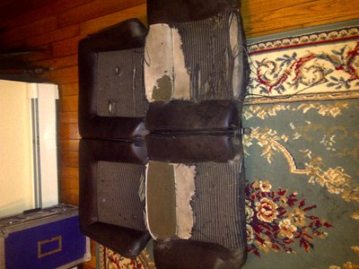 backs before