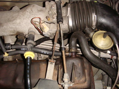 VW 008.jpg