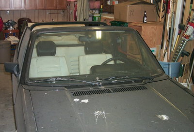 1980 VW_08b.jpg