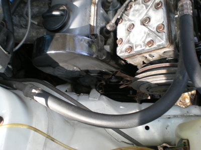 Timing Cover 3-17-12.JPG